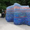 IMG_7310